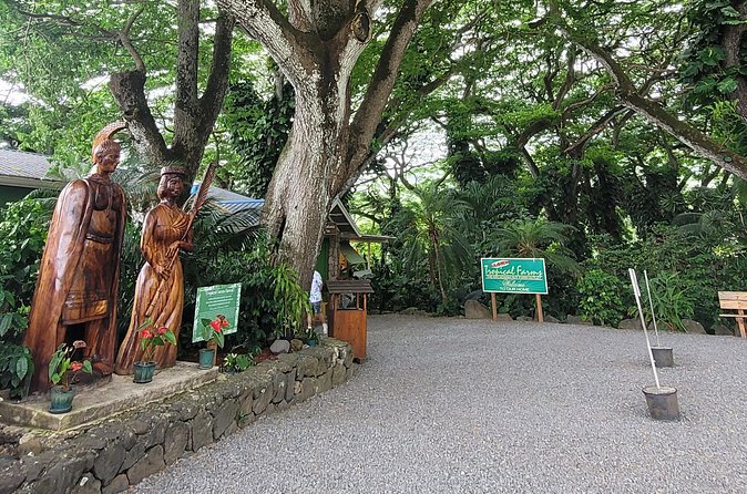 Circle Island 8hr Private Small Group Tour - Haleiwa and the North Shore Wave Season Mood
