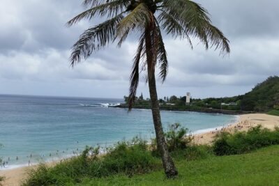 Circle Island 8hr Private Small Group Tour - Dole Plantation: Pineapple Culture Without Getting Stuck