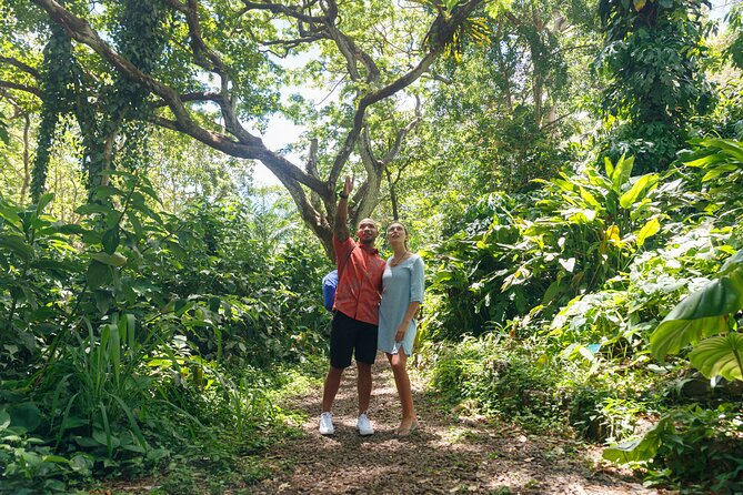 Circle Island (Holoholo Mokupuni) from Ko'olina - Haleiwa Town Center Twice: Historic Small-Town Time Plus Lunch Choice
