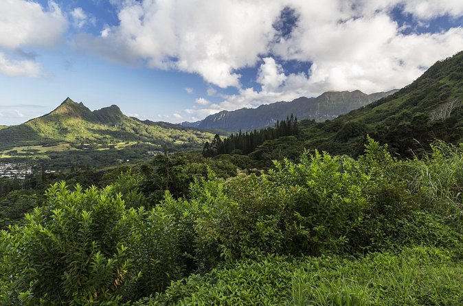 Circle Island (Holoholo Mokupuni) from Ko'olina - Waimea Valley: 45’ Waterfall, Cold Water, and a Real Hike Moment