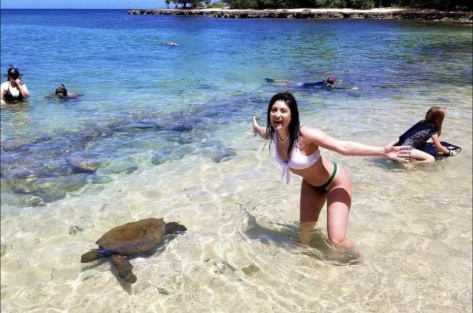 Circle Island: Swim with Turtles and Explore Paradise Oahu - Key Things That Make This Turtle Tour Worth Your Day