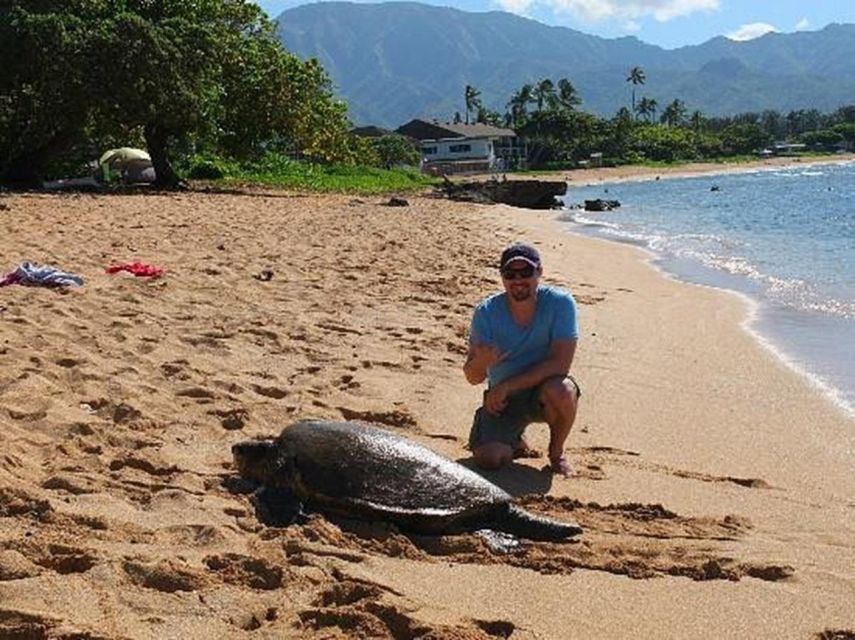 Circle Island: Swim with Turtles and Explore Paradise Oahu - Chinaman’s Hat (Kualoa Regional Park): Movie-Set Oahu in One Quick Look