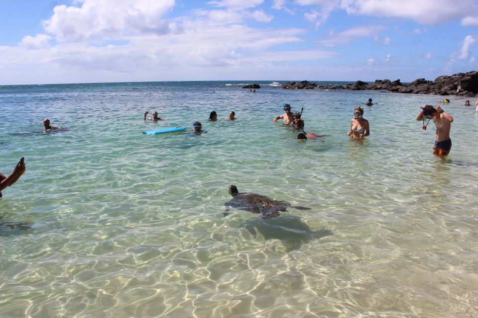 Circle Island: Swim with Turtles and Explore Paradise Oahu - Makapuu and Other Passing Views: How Circle Island Keeps Rolling