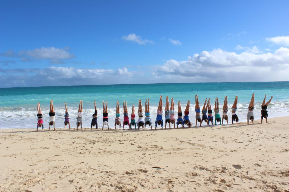 Circle Island: Swim with Turtles and Explore Paradise Oahu - Tropical Farms Macadamia Nuts: A Tasty Stop With Real Island Personality