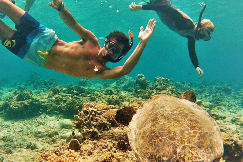 Circle Island: Swim with Turtles and Explore Paradise Oahu - Local Restaurant Break: Fueling Up Without Turning Your Day Into a Food Tour