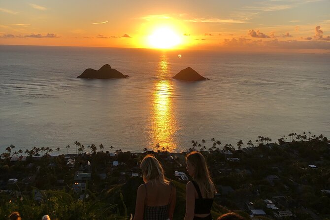Circle Island tours - swim with turtles,Private & Small Group Tours - How small-group Circle Island keeps you out of gridlock