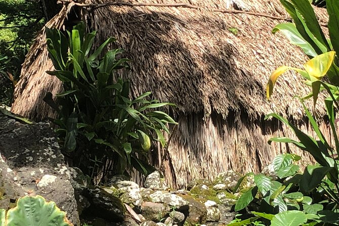 Circle Island tours - swim with turtles,Private & Small Group Tours - Price and value: $150 for transport, routing, and fewer headaches
