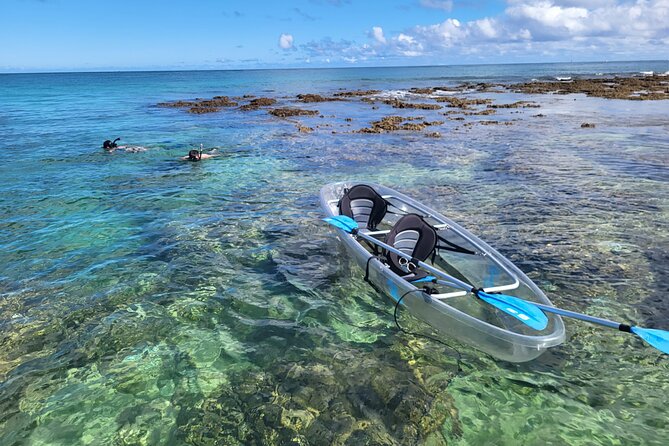 Clear Bottom Kayak - Guaranteed to see Turtles! - Key Points You Should Know Before You Go