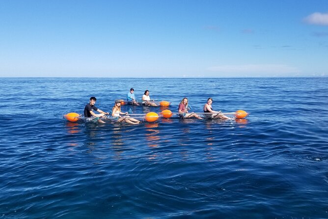 Clear Bottom Kayak - Guaranteed to see Turtles! - Enter Haleiwa: Sea & Board Sports Hawaii Check-In and Gear Fit