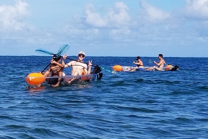 Clear Bottom Kayak - Guaranteed to see Turtles! - When the Ocean Adjusts Your Day: Winds, Swells, and Safe Swaps