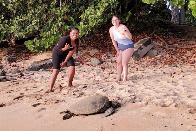 Clear Bottom Kayak - Guaranteed to see Turtles! - Price and Value: Is $172.77 Worth It for Two Hours?