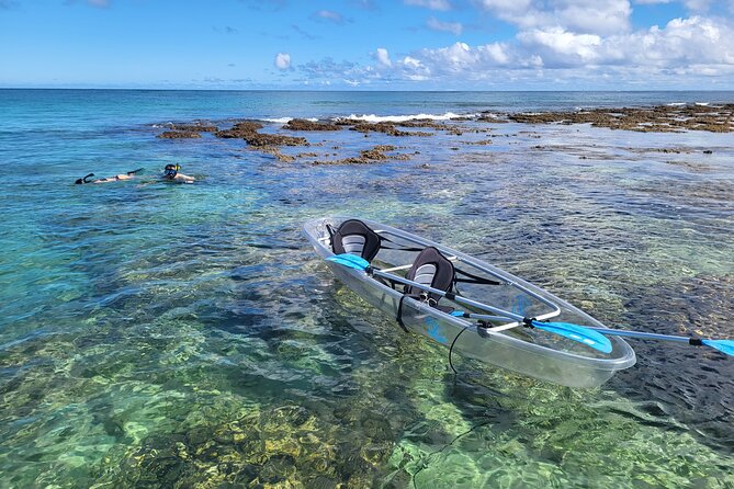 Clear Bottom Kayak - Guaranteed to see Turtles! - Clear-Bottom Kayaks on the North Shore: Reef Views and Turtle Hunting