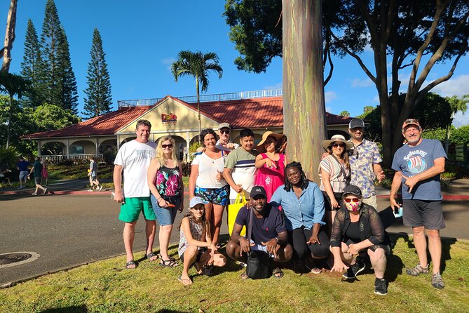 Cruise Ship with Direct "Pier Pick Up" All Fee's Included - Chinaman’s Hat (Mokolii) and the North Shore Angle