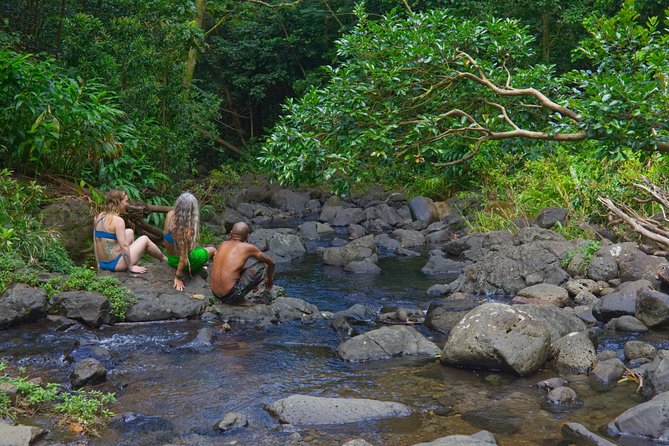 Custom Island Adventure Tours - Waterfalls, Snorkeling, and Sightseeing: How the 7-Hour Day Works