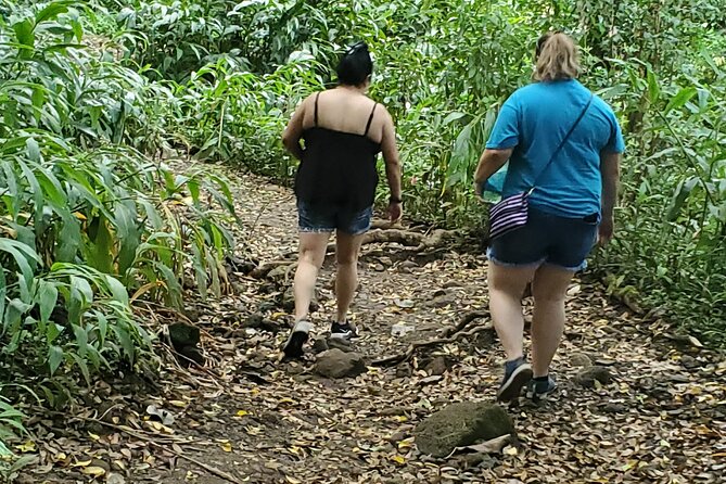 Custom Island Adventures Tour - Temples, valleys, and waterfalls: culture with some real walking