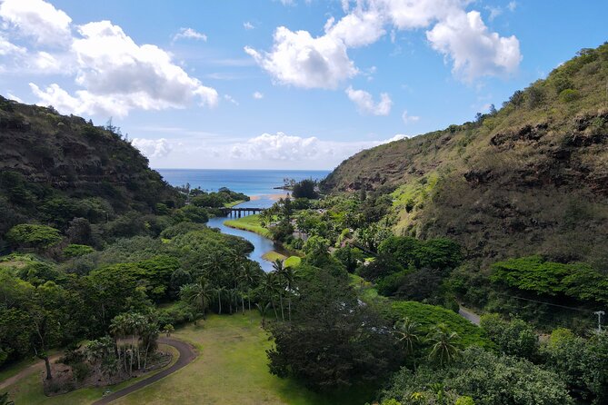 Customizable Private Tour Oahu- Ko Olina Resorts Pick Up Included - Sandy Beach Park: shorebreak energy you can feel