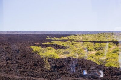Day Trip from Oahu to Hilo: Volcano Adventure - Hawaii Volcanoes National Park: Kilauea viewpoints, steam, and the lava tube