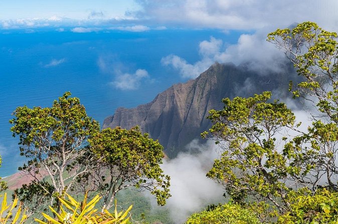 Day Trip from Oahu to Kauai: Highlights & Movie Sites - Opaekaa Falls: the 151-foot viewpoint hit