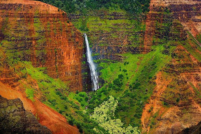 Day Trip from Oahu to Kauai: Waimea Canyon & Wailua River - Wailua River State Park and Fern Grotto: the boat ride payoff
