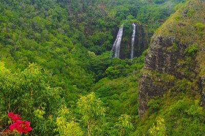Day Trip from Oahu to Kauai: Waimea Canyon & Wailua River - Waterfalls and coastline stops: Opaekaa Falls, Spouting Horn, and Poipu-area energy