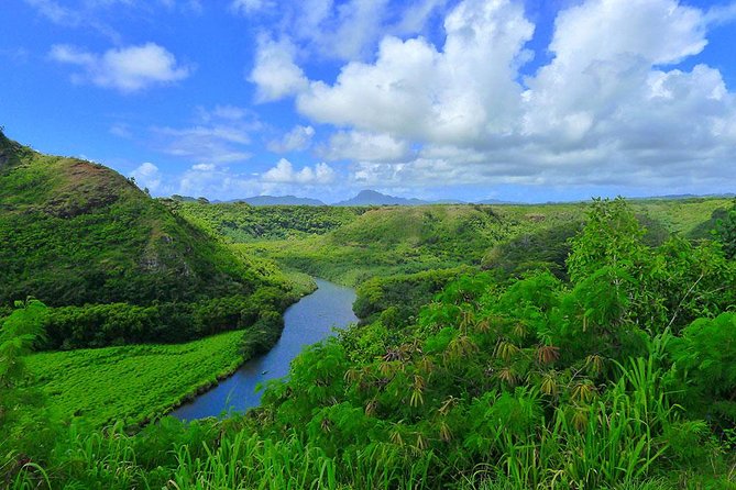 Day Trip from Oahu to Kauai: Waimea Canyon & Wailua River - Price and value check: is $654.46 worth it?