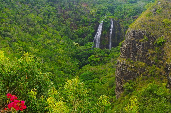 Day Trip from Oahu to Kauai: Waimea Canyon & Wailua River - Waterfalls and coastline stops: Opaekaa Falls, Spouting Horn, and Poipu-area energy