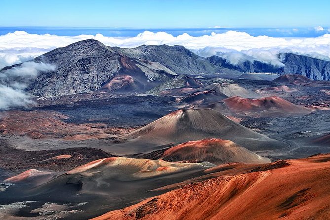 Day Trip Oahu to Maui: Sips, Sites and Bites - Key things to know before you go