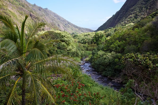 Day Trip Oahu to Maui: Sips, Sites and Bites - One Island to Another: What the 5:30am Start Really Means