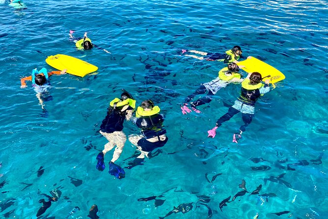 Deluxe Turtle Snorkeling Escapade at Waikiki - The 6-in-1 lineup: kayaking, paddleboarding, and sea scooters