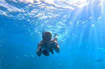 Deluxe Turtle Snorkeling Escapade at Waikiki - Snorkeling with turtles: gear, vests, and how the help matters