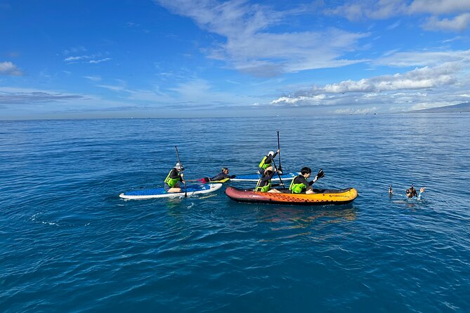 Deluxe Turtle Snorkeling Escapade at Waikiki - Staff that make the day: friendly guidance and real wildlife focus