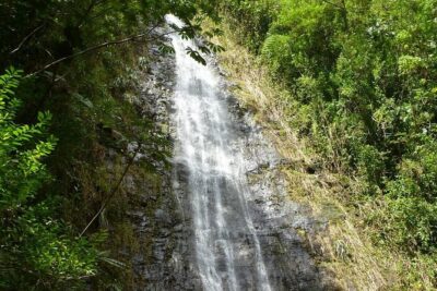Diamond Head and Manoa Falls Hike and Adventure Tour - Waikiki Pickup and the First Look at Beach-Life