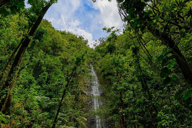 Diamond Head and Manoa Falls Hike and Adventure Tour - More Than Two Stops: Duke Kahanamoku and Other Local Touches