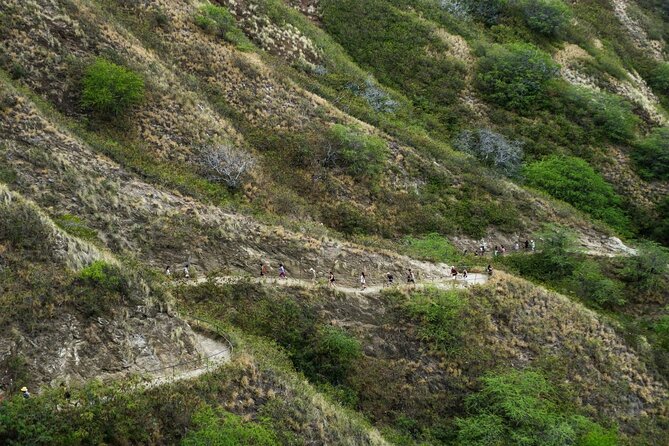 Diamond Head and Manoa Falls Hike and Adventure Tour - Price and Value: What $149 Per Group Really Means