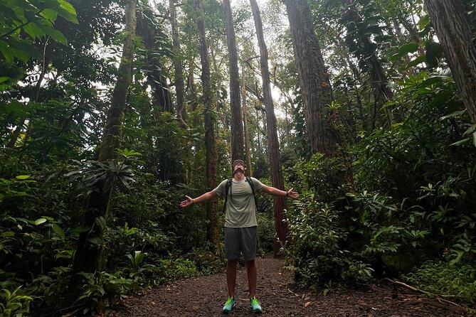 Diamond Head and Manoa Falls Hike and Adventure Tour - The One Thing to Consider: Expectations for Historical Depth and Refreshments