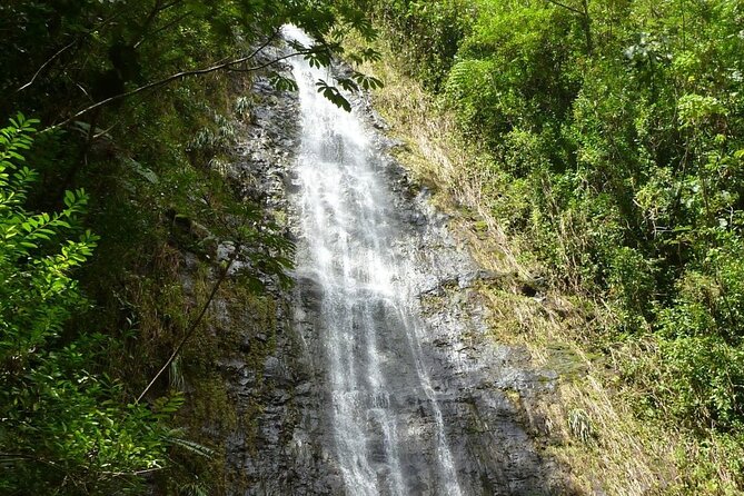 Diamond Head and Manoa Falls Hike and Adventure Tour - Waikiki Pickup and the First Look at Beach-Life