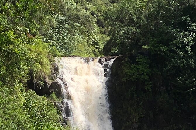 Diamond head crater trail , Sightseeing & South Side beach day - Price and value: what $150 covers (and what it doesn’t)