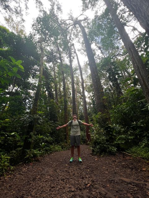 Diamond Head Manoa Falls - Quick reasons this crater-and-waterfall day is worth it