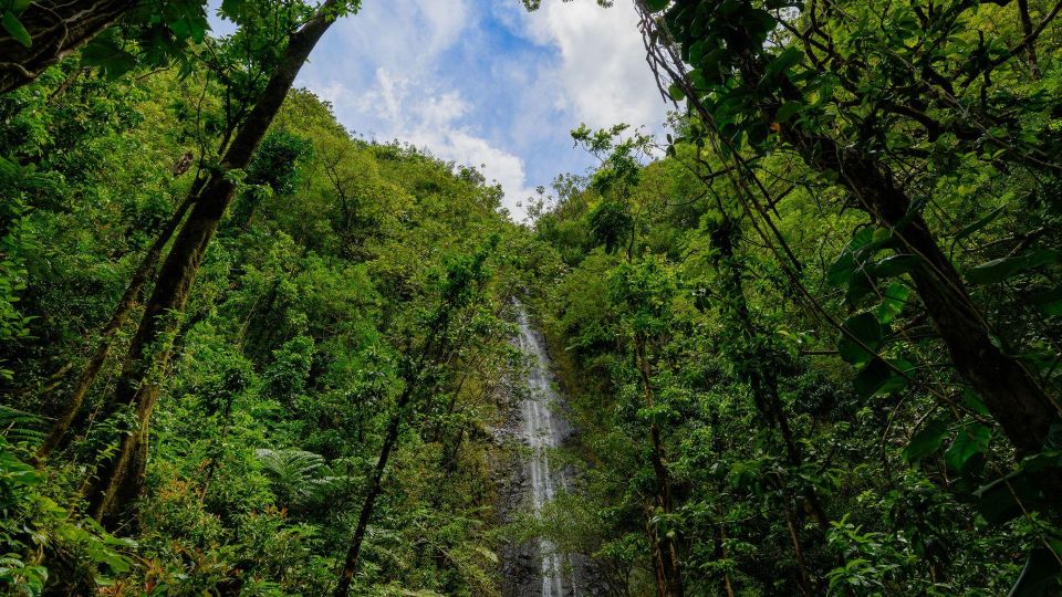 Diamond Head Manoa Falls - Diamond Head: your volcanic-crater climb and the viewpoint reward