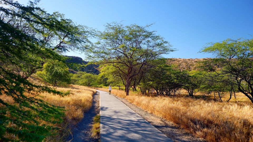 Diamond Head Manoa Falls - Included value: why $245 can make sense for this exact day