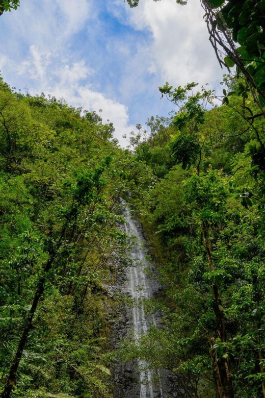 Diamond Head Manoa Falls - Comfort and rules that keep the day pleasant