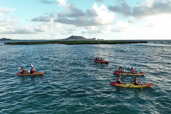 Discover Popoia Island and Kailua Bay by Kayak Guided Tour - Popoia Island bird sanctuary walk: short, easy, and worth the landing