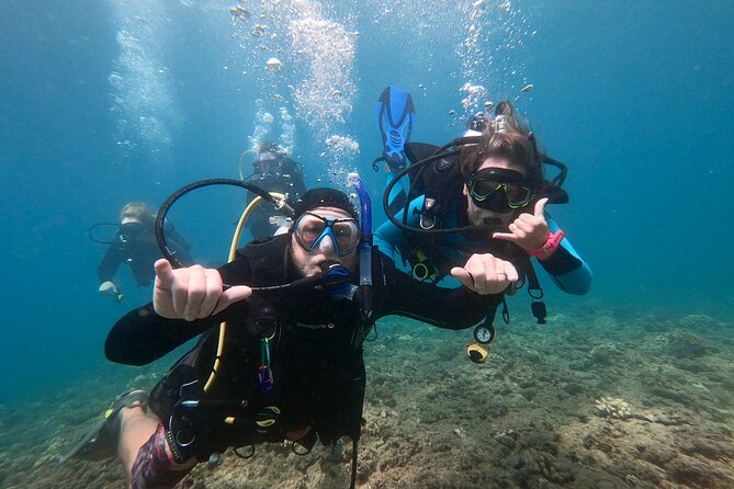 Discover Scuba Diving in Hawaii - Non certified divers! - First-Time Scuba, in Real-Life Terms (3 Hours Total)