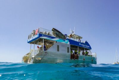 Dolphin Watch Cruise with Waterslide & Snorkeling on Oahu - Key Points You’ll Care About