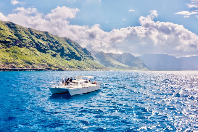 Dolphin Watching and Snorkeling on the West Coast of Oahu - Wildlife sightings: dolphins are the headline, turtles are the bonus