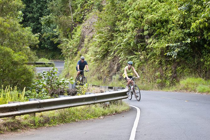 Downhill Bike and Ko'olau Waterfall Hike Tour - Honolulu Pickup to Puu Ohia: The Morning Setup That Matters