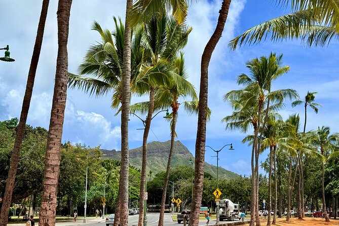 Downtown Honolulu Food Tour with 5 Local Favorites Tastings - Key highlights worth knowing