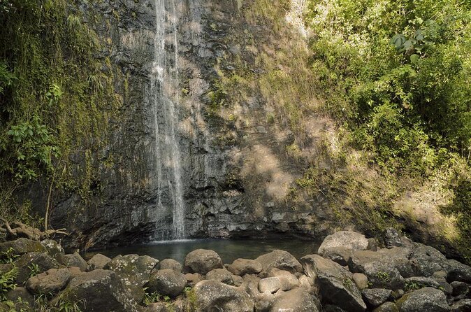 Electric Bike Ride & Manoa Falls Hike Tour - Key highlights at a glance