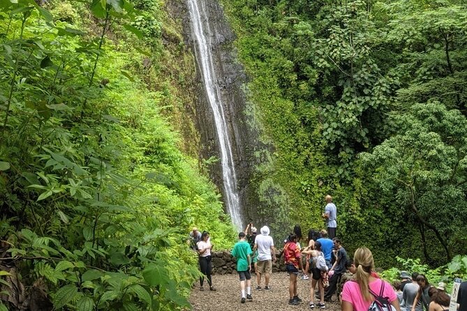 Electric Bike Ride & Manoa Falls Hike Tour - University of Hawai‘i at Mānoa: the scenic landing back toward Waikiki
