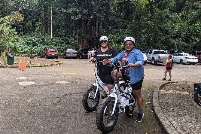 Electric Bike Ride & Manoa Falls Hike Tour - Your guide (Ryan, Dave, Emily): local hosting that feels personal
